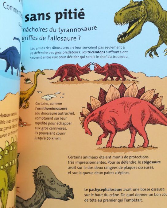 Les dinosaures Kaleidoc