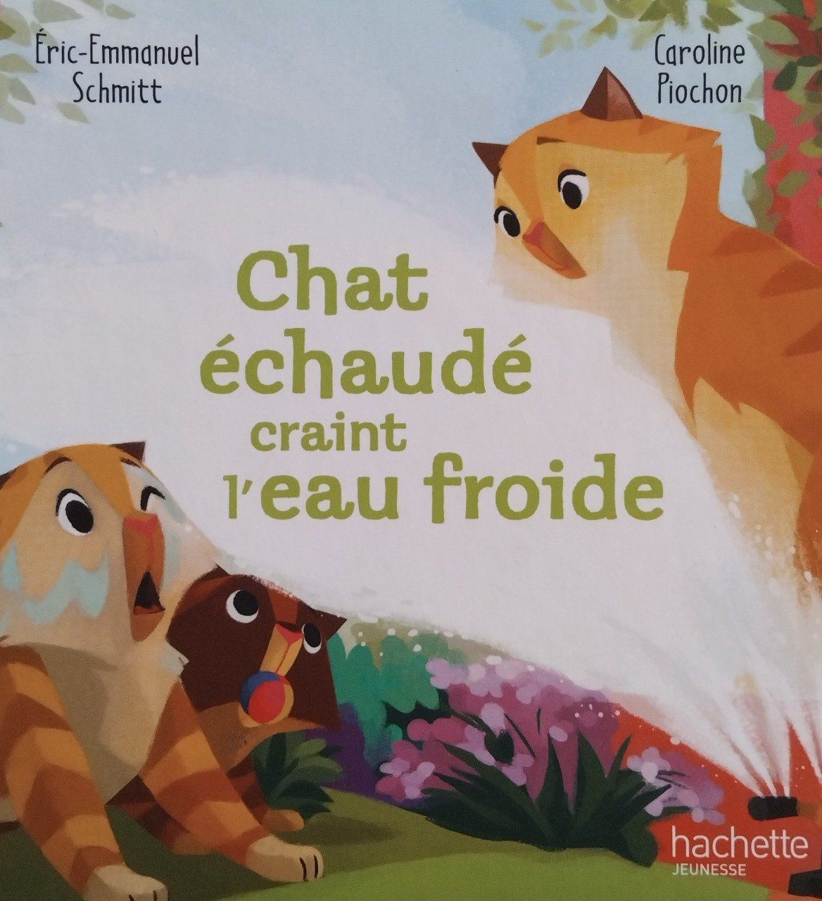 Chat Echaudé Craint L Eau Froide Signification
