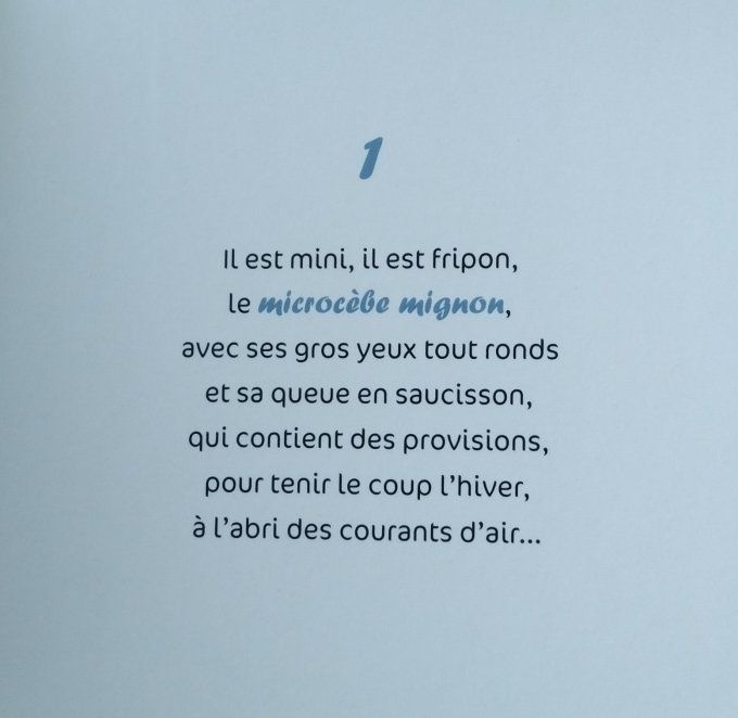 10 lémuriens