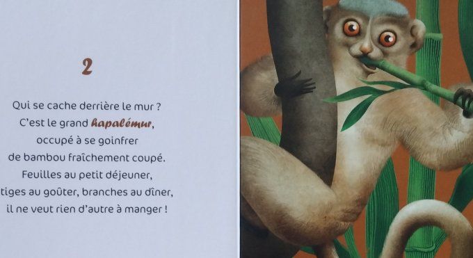 10 lémuriens