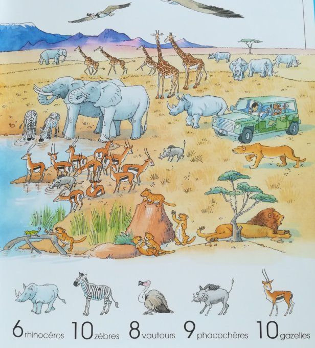 1001 animaux à trouver