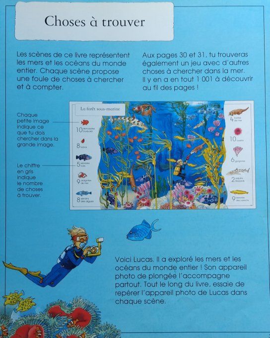 1001 choses à trouver dans la mer