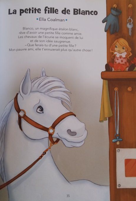 15 histoires de chevaux