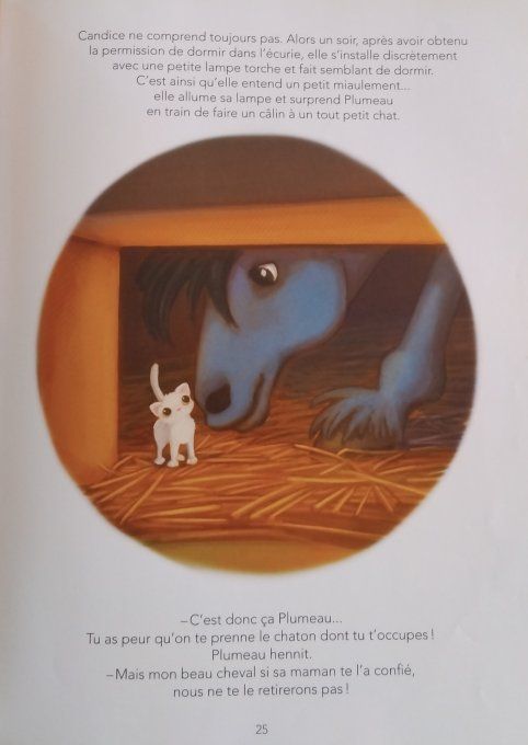 15 histoires de chevaux