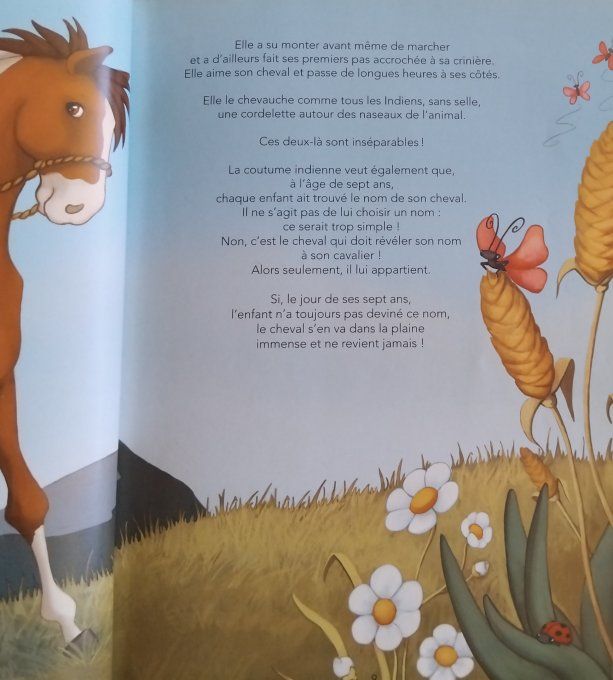 15 histoires de chevaux
