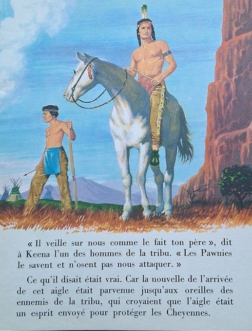Aigle intrépide