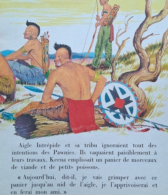 Aigle intrépide