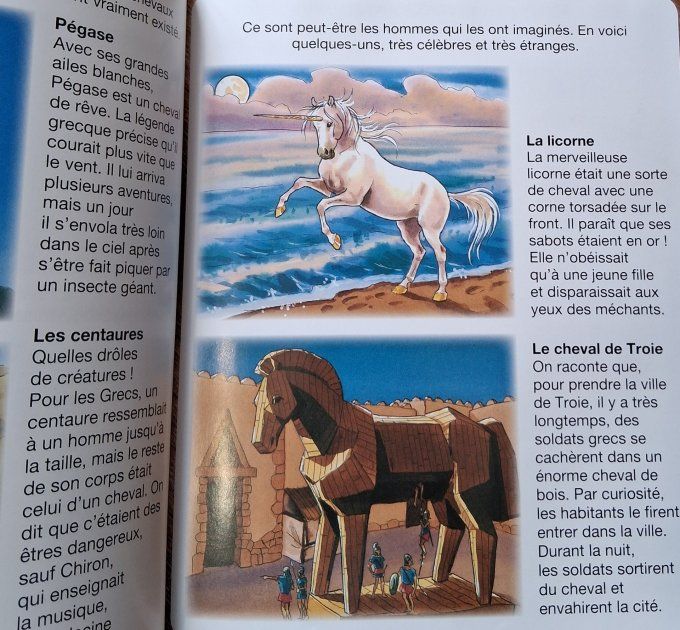 L'imagerie du cheval et du poney