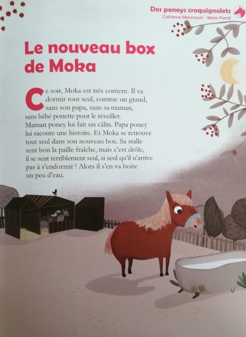 30 histoires de poneys
