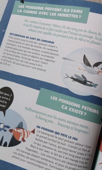 50 questions loufoques sur les animaux marins