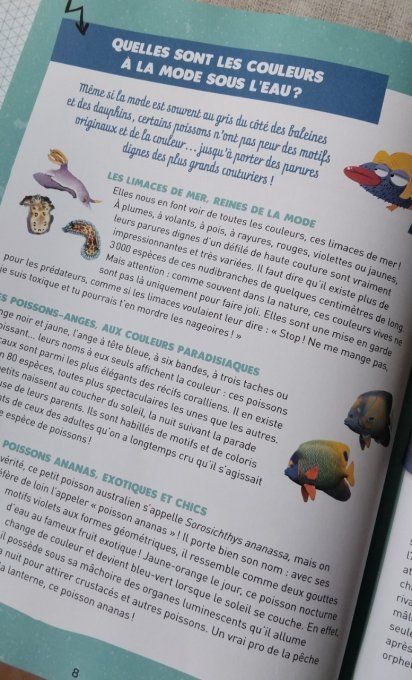 50 questions loufoques sur les animaux marins