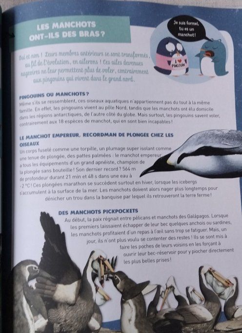 50 questions loufoques sur les animaux marins