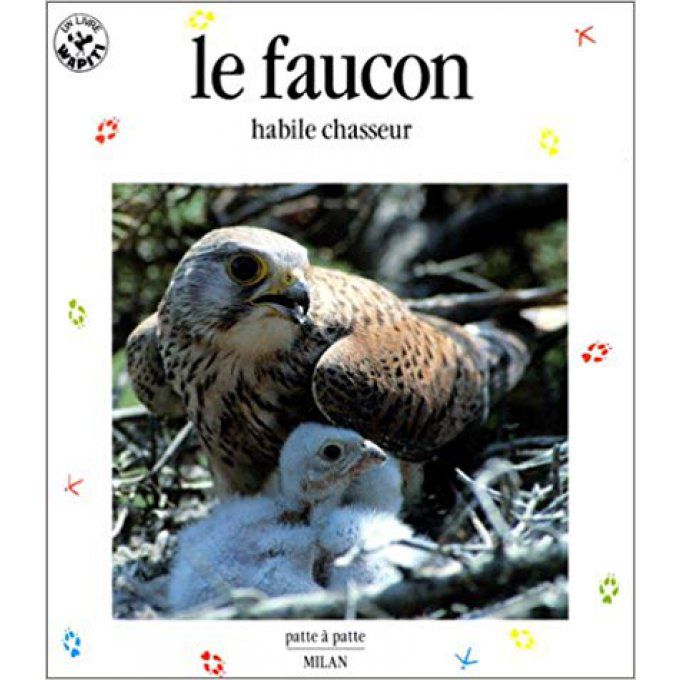 Le faucon, habile chasseur