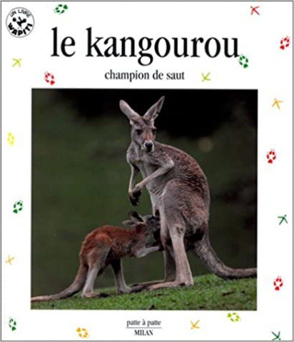 Le kangourou, champion de saut