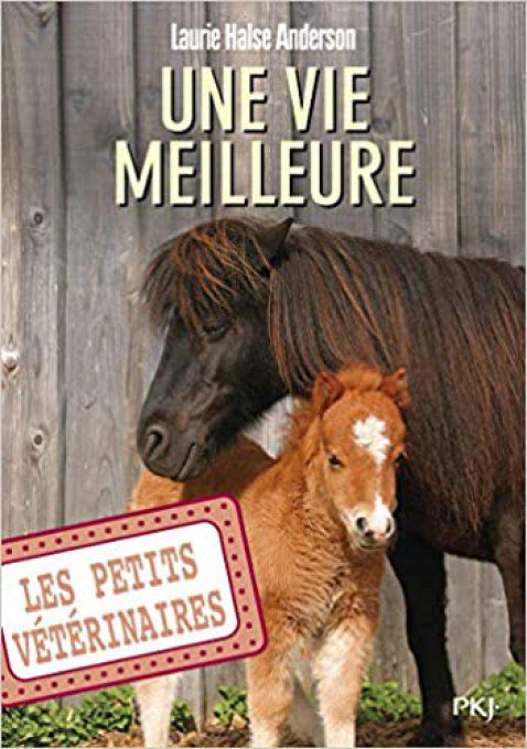 Une vie meilleure, les petits vétérinaires, tome 15