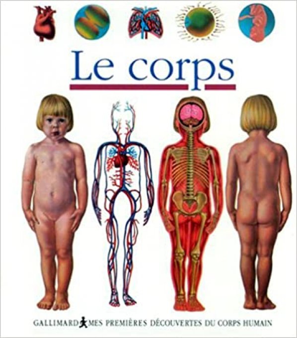 Le corps