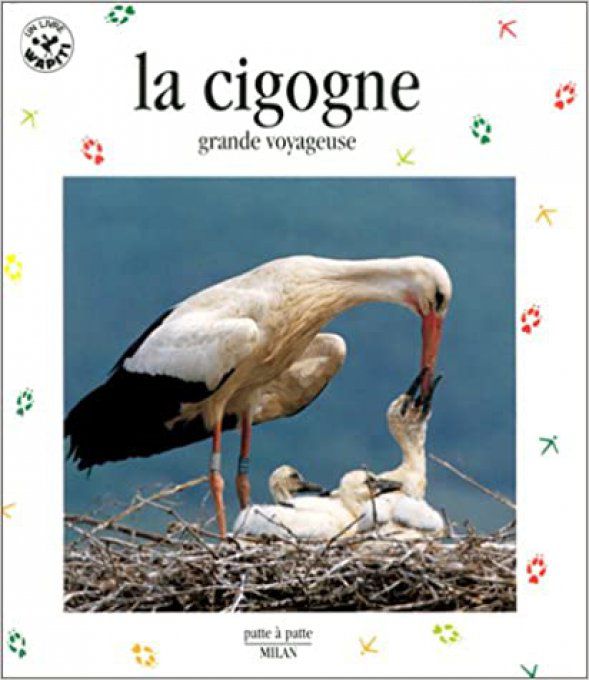 La cigogne, grande voyageuse