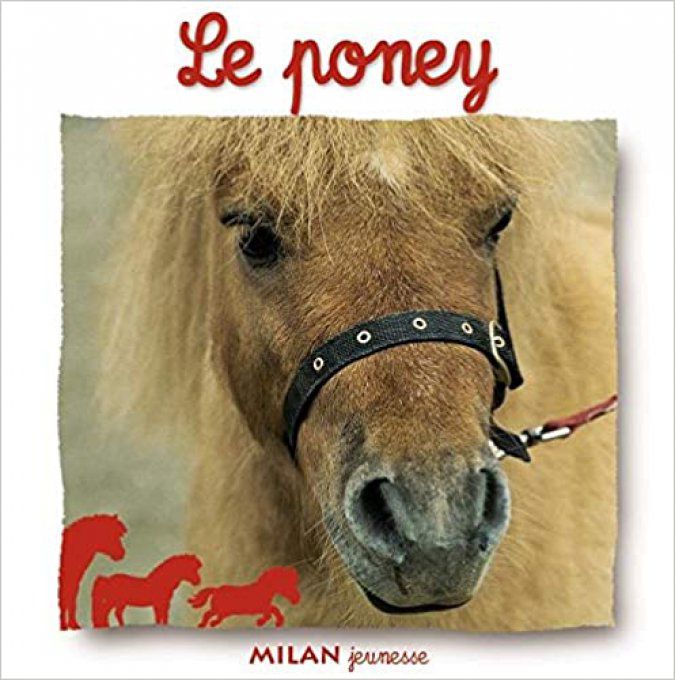 Le poney