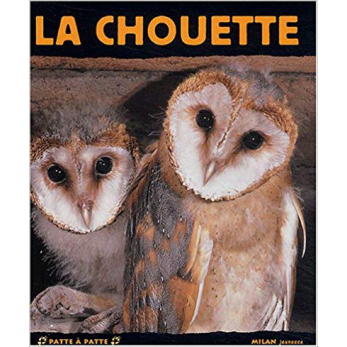 La chouette