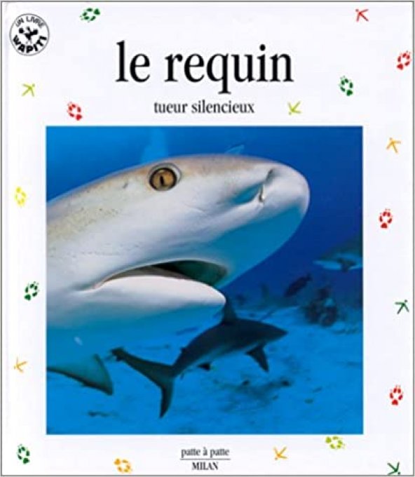 Le requin, tueur silencieux