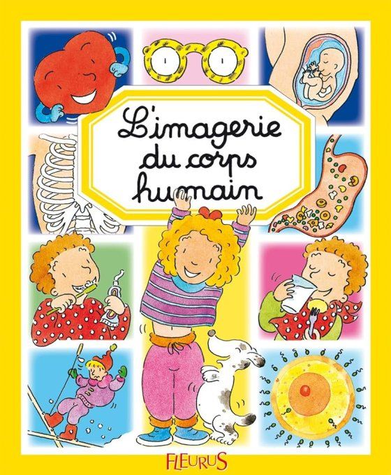 L'imagerie du corps humain version souple