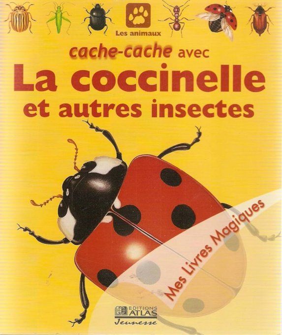 Cache-cache avec la coccinelle et autres insectes