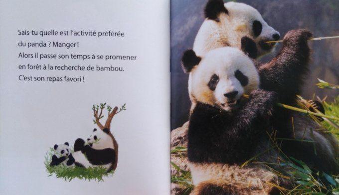 Les p'tits docs à la découverte des pandas