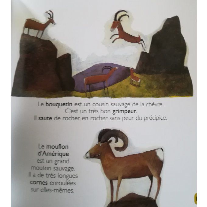 A la montagne, mes petites encyclopédies Larousse