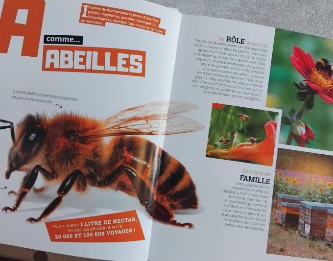 ABC du jardin