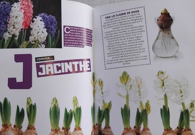 ABC du jardin