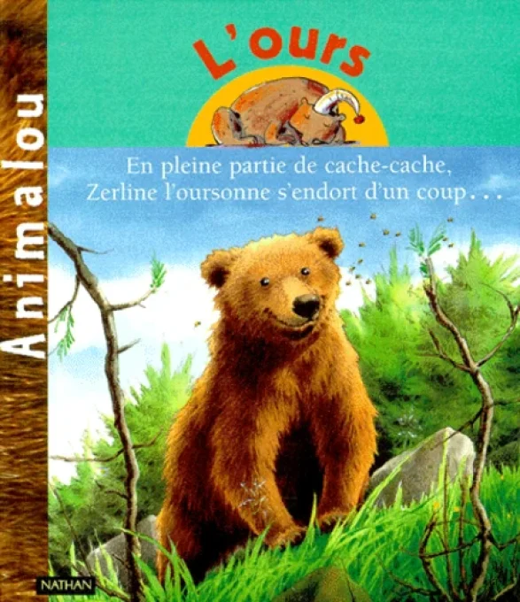 Cache-cache avec l'ours - Teteenlire