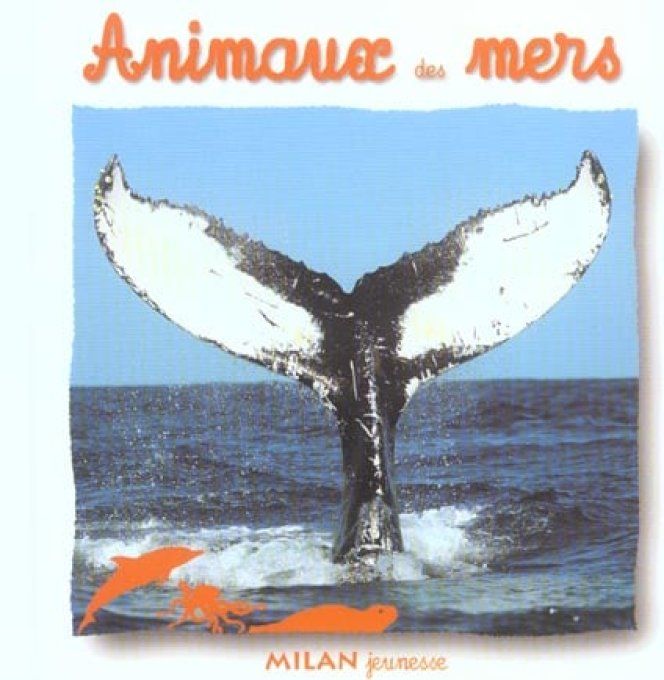 Animaux des mers