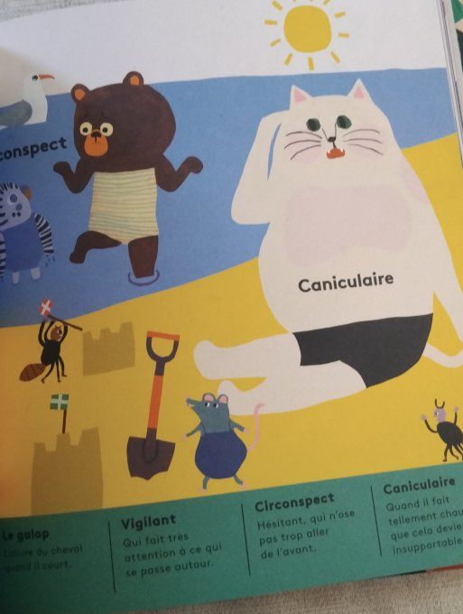 Apprends un mot compliqué tous les jours