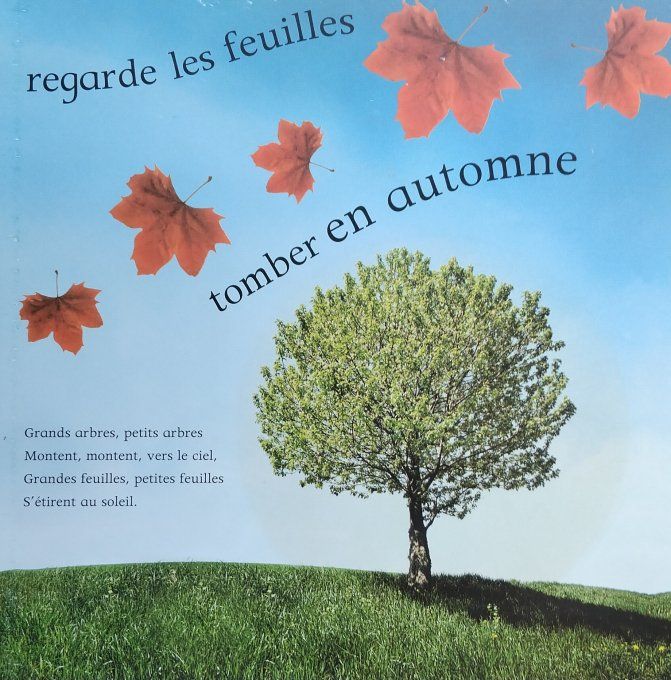 Je comprends tout arbre