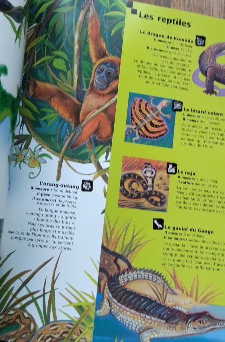 Atlas des animaux