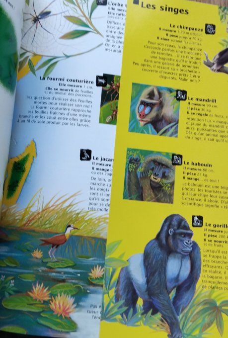Atlas des animaux