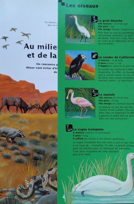 Atlas des animaux