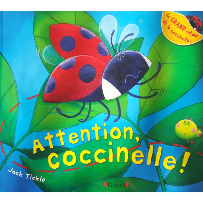 Attention coccinelle !