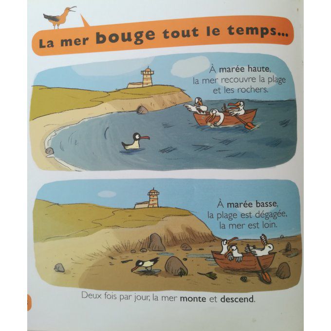 Au bord de la mer, mes petites encyclopédies Larousse