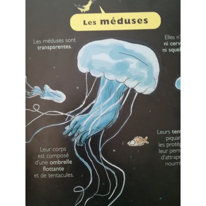 Au bord de la mer, mes petites encyclopédies Larousse