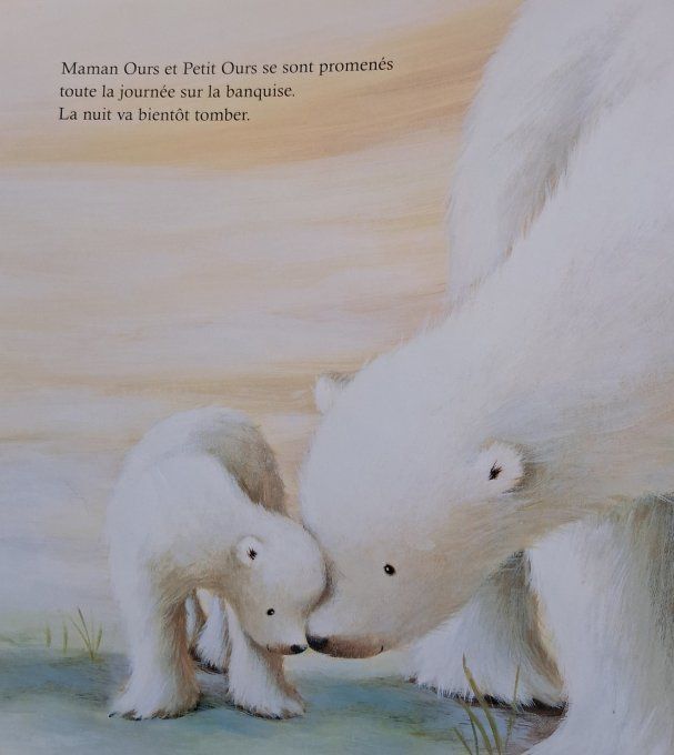 Au lit, petit ours !