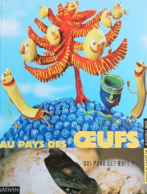 Au pays des oeufs crocoscope