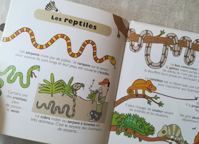 Au zoo, mes petites encyclopédies Larousse