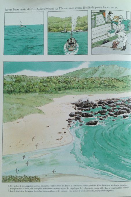 Avec mon père au bord de la mer