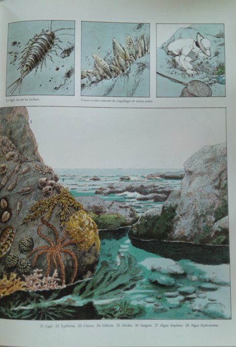 Avec mon père au bord de la mer