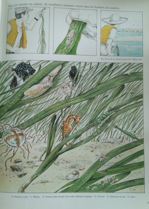 Avec mon père au bord de la mer