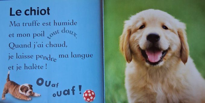 Mon premier livre des bébés animaux