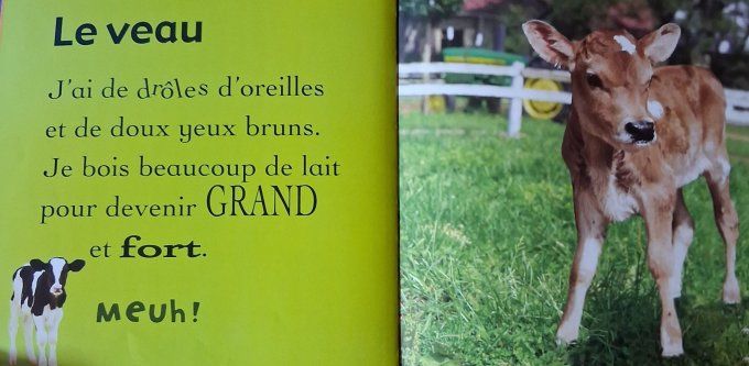 Mon premier livre des bébés animaux