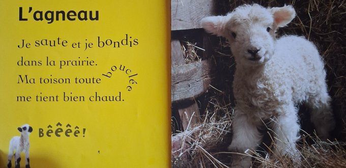 Mon premier livre des bébés animaux