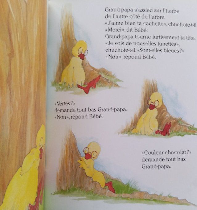 Bébé canard et les méchantes lunettes